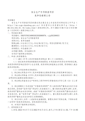 安全生产专项排查项目.docx