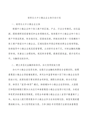 培育壮大中小微企业主体行动计划.docx