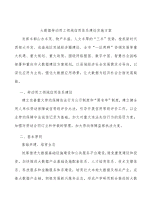 大数据劳动用工领域信用体系建设实施方案.docx