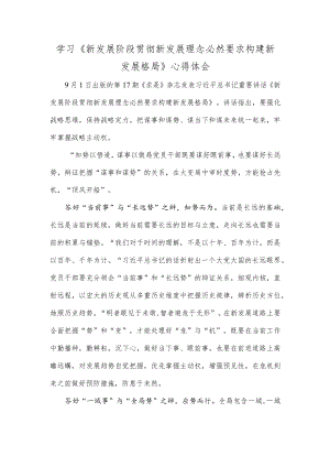 学习《新发展阶段贯彻新发展理念必然要求构建新发展格局》心得体会.docx