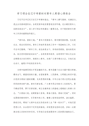 学习领会在辽宁考察时对青年人寄语心得体会.docx