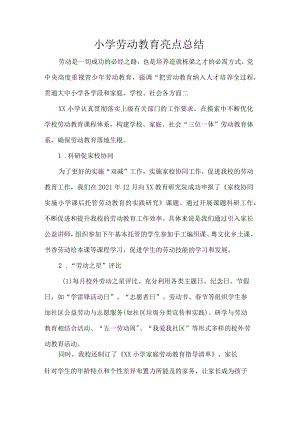 小学劳动教育亮点总结.docx