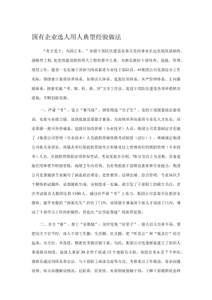 国有企业选人用人典型经验做法.docx