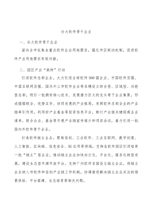壮大软件骨干企业.docx