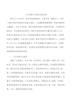 大力发展水运航线实施方案.docx