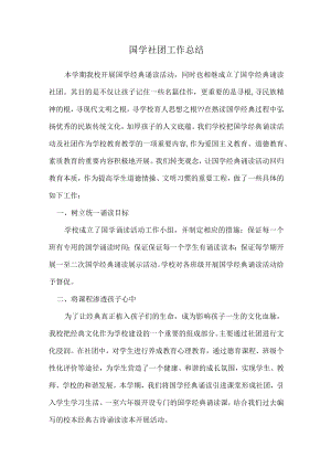 国学社团工作总结.docx