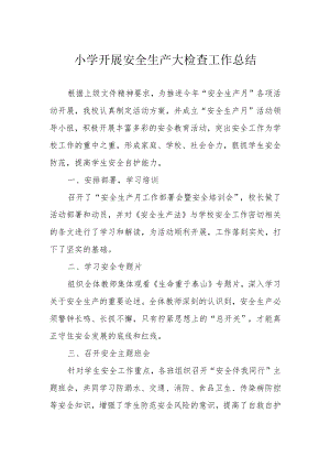 小学开展安全生产大检查工作总结.docx
