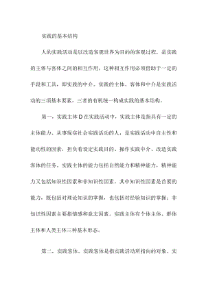 实践的基本结构.docx
