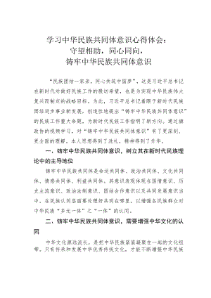 学习中华民族共同体意识心得体会：守望相助同心同向铸牢中华民族共同体意识.docx