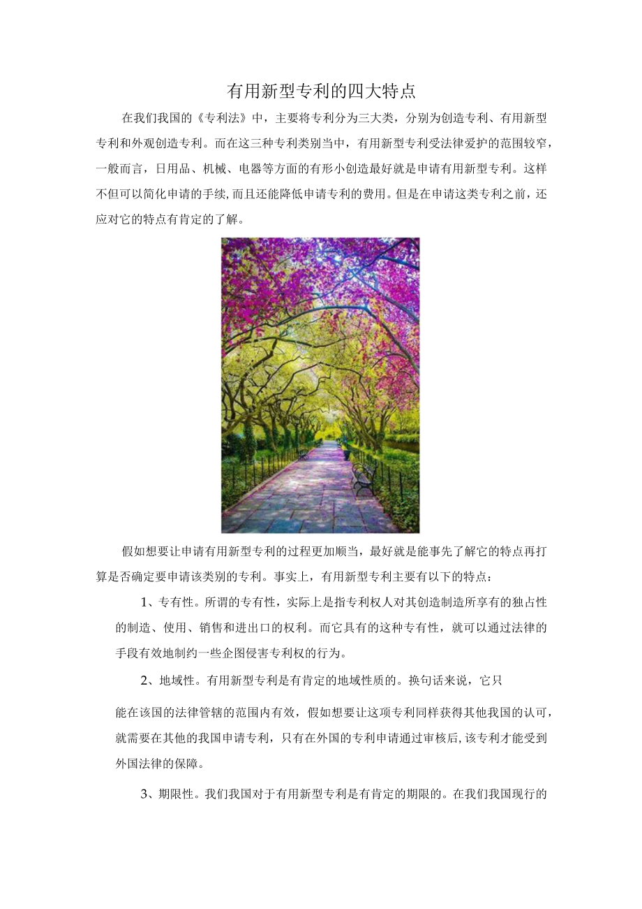实用新型专利的四大特点.docx_第1页