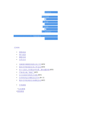 审计报告.docx