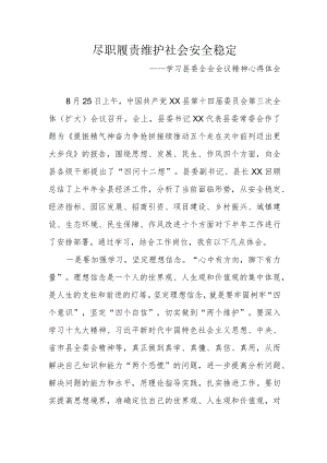 学习县委全会会议精神心得体会.docx