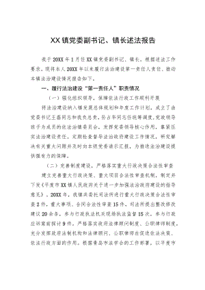 XX镇党委副书记、镇长述法报告（20220425）.docx