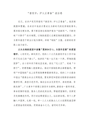 “唐笑宇：炉火正青春”读后感.docx