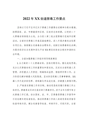 2022年XX街道禁毒工作要点.docx