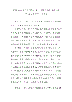 2022在印度尼西亚巴厘岛出席二十国集团领导人第十七次峰会讲话精神学习心得体会3篇.docx