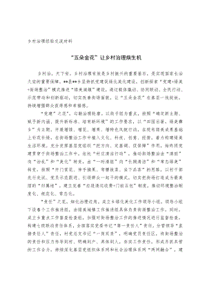 乡村治理经验交流材料.docx