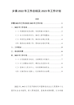 乡镇2022年工作总结及2023年工作计划.docx