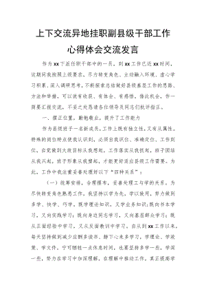 上下交流异地挂职副县级干部工作心得体会交流发言.docx