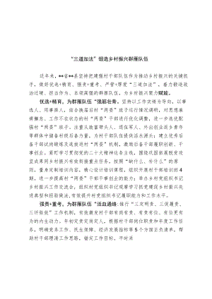 乡村振兴群雁队伍建设经验交流材料.docx