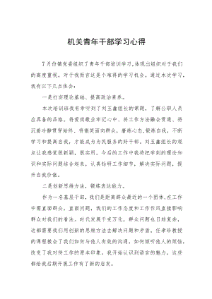 2022年年轻干部理论学习心得体会五篇模板.docx