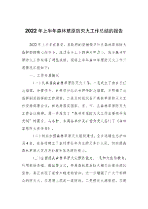 2022年上半年森林草原防灭火工作总结的报告.docx
