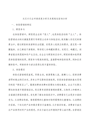 光芯片行业市场深度分析及发展规划咨询分析.docx