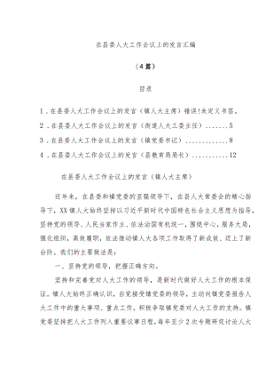 (4篇)在县委人大工作会议上的发言汇编.docx