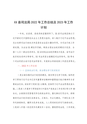 XX县司法局2022年工作总结及2023年工作计划.docx
