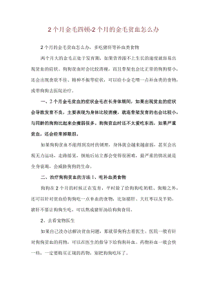 2个月金毛四顿-2个月的金毛贫血怎么办.docx