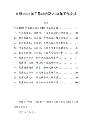 乡镇2022年工作总结及2023年工作安排.docx