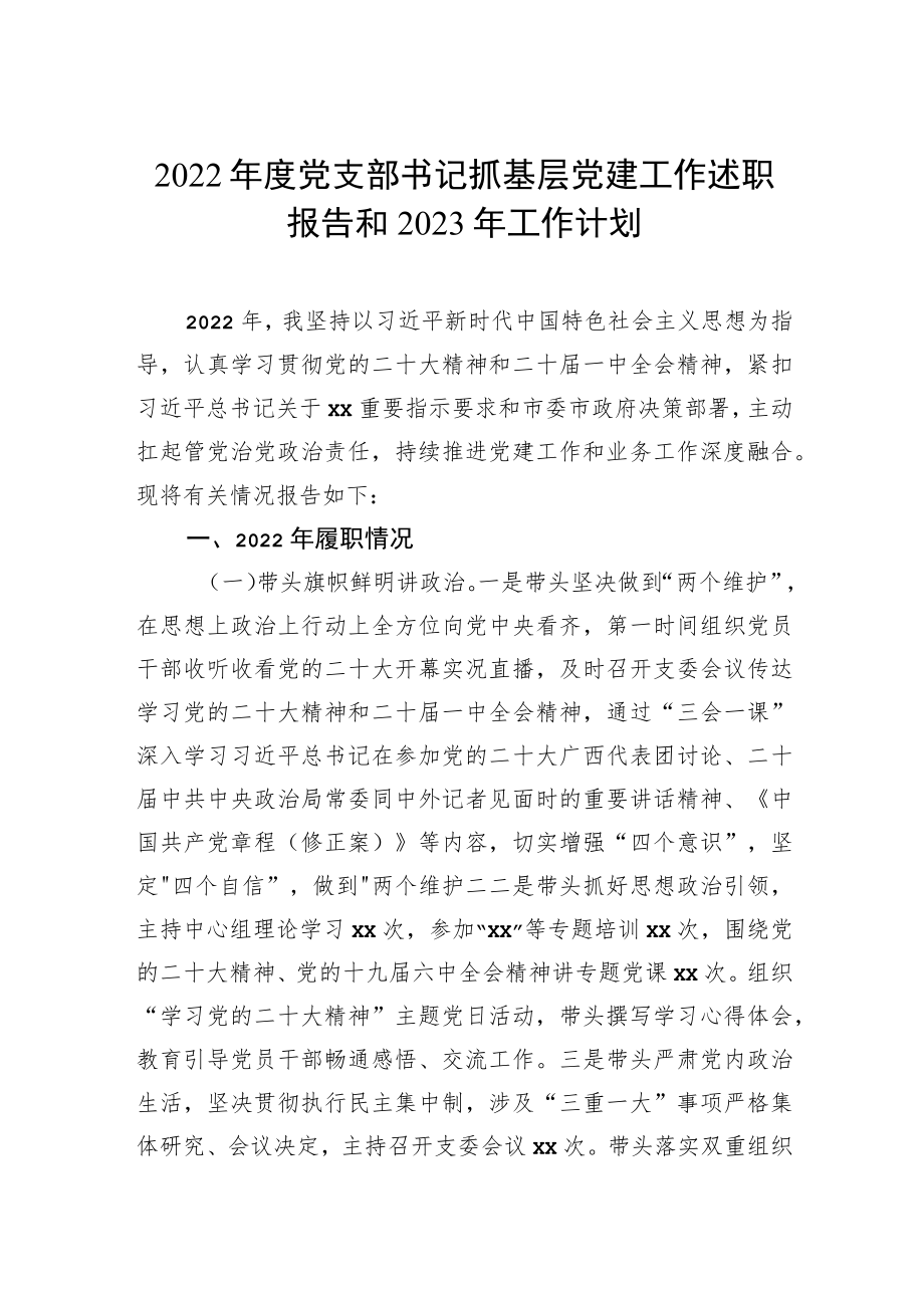 2022年度党支部书记抓基层党建工作述职报告和2023年工作计划.docx_第1页