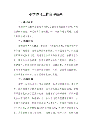 小学体育工作自评结果.docx