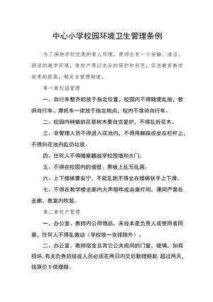 中心小学校园环境卫生管理条例.docx