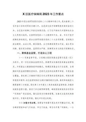 X区医疗保障局2023年工作要点工作计划.docx