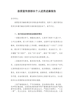 2022年度县委宣传部部长个人述责述廉报告.docx