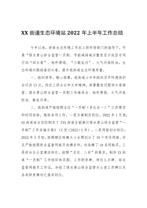 XX街道生态环境站2022年上半年工作总结.docx