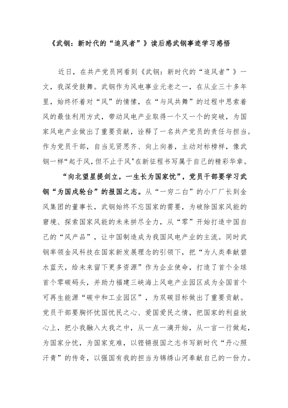 《武钢：新时代的“追风者”》读后感武钢事迹学习感悟.docx_第1页