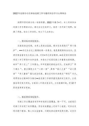 2022年巡察办主任参加巡察工作专题培训会学习心得体会.docx