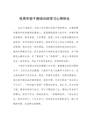 2022年优秀年轻干部培训班学习心得体会感悟五篇范文.docx