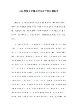 2022年度党支部书记党建工作述职报告.docx