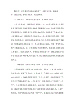 2022年全镇重点工作完成情况汇报材料.docx