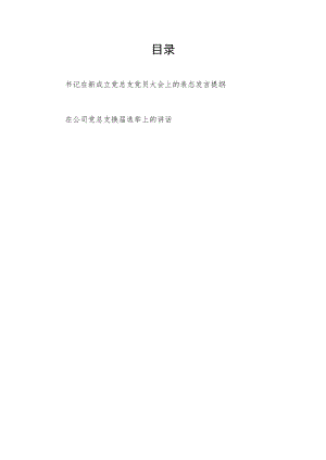 书记在新成立党总支党员大会上的表态发言提纲和在公司党总支换届选举上的讲话.docx
