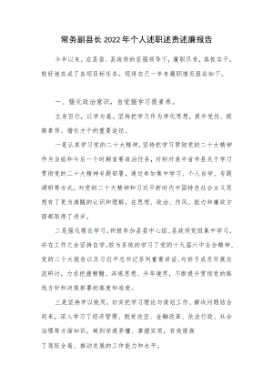 2022年度常务副县长个人述职述责述廉报告.docx