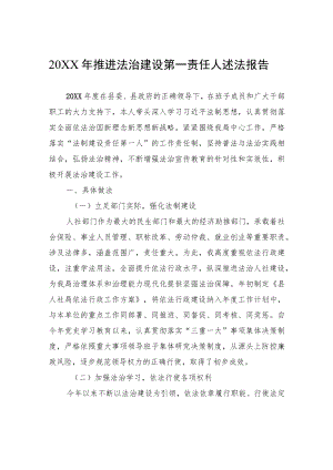 20XX年推进法治建设第一责任人述法报告（20220628）.docx