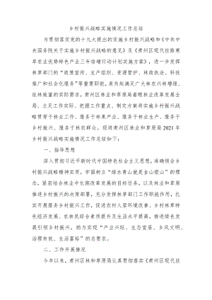 乡村振兴战略实施情况工作总结.docx