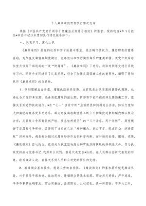 个人廉政准则贯彻执行情况总结.docx