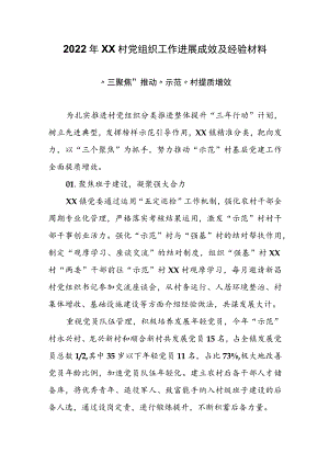 2022年XX村党组织工作进展成效及经验材料.docx