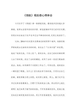 《领航》观后感心得体会.docx