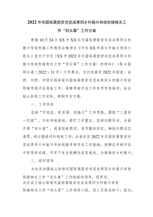 2022年巩固拓展脱贫攻坚成果同乡村振兴有效衔接相关工作“回头看”工作方案.docx
